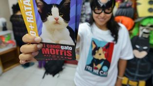 “¿Cansado de votar por ratas? Vote por un gato”, el lema de Morris, candidato en México