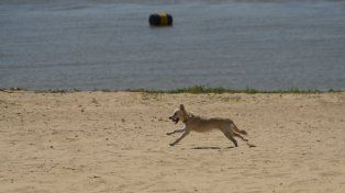 El tiempo en Rosario: viernes con calor, pocas nubes, ¿y finalmente sin lluvias?