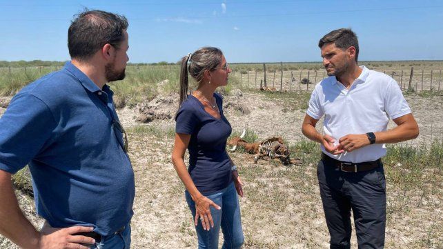 Pullaro: Pedimos presencia del Ejército para asistir las zonas afectadas por la sequía