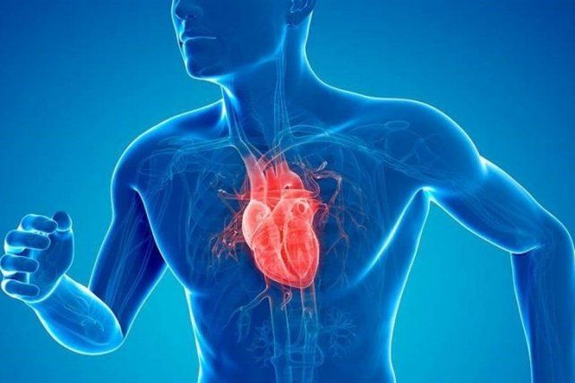 Enfermedades cardiovasculares