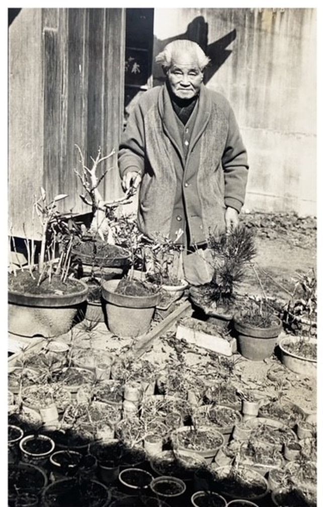 Miyamoto junto a sus bonsai. (Archivo Familia Miyamoto).