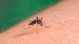 Ante la suba de casos positivos de dengue continúan los operativos de bloqueos en diferentes barrios