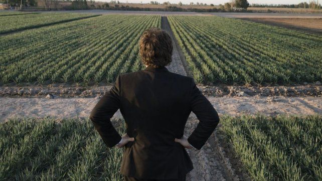 El gobierno de Javier Milei quiere modificar la ley de tierras