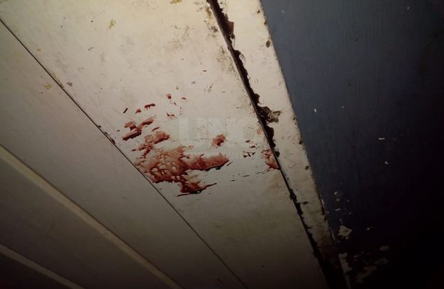 Momentos de terror se vivieron en el comercio de barrio Las Flores I.