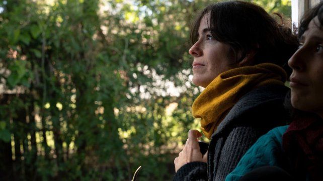 Cine Club Musidora presenta Los Abrazos