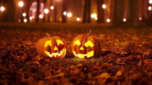 Halloween la tradicional celebración estadounidense.