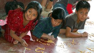 Niños aborígenes aprenden matemática con el sistema maya