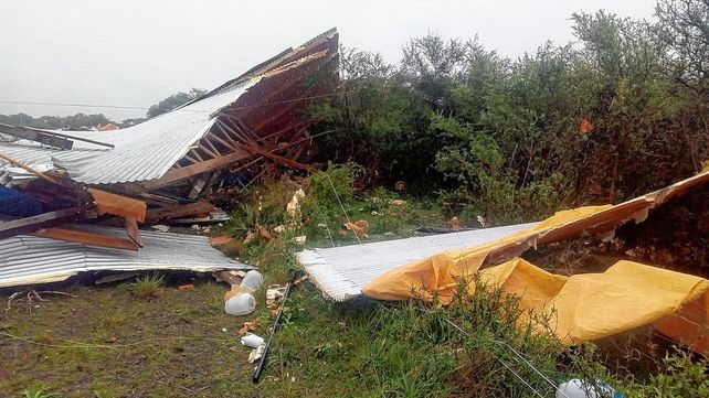 El temporal voló el techo de un galpón de pollos