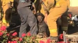 Quiso robar en una casa y quedó atrapada en la chimenea