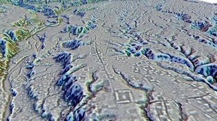 La imagen generada con tecnología láser muestra complejos de plataformas rectangulares entre calles en la selva de Ecuador (Antoine Dorison, Stéphen Rostain via AP)
