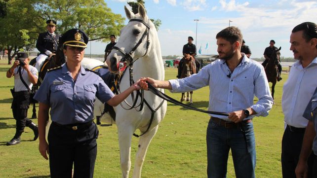 El ministro de Seguridad entregó 35 caballos para la policía de Rosario 