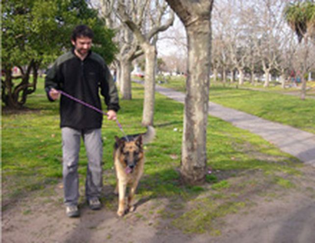 Para tener en cuenta: se conquista m&aacute;s con un labrador que con un caniche