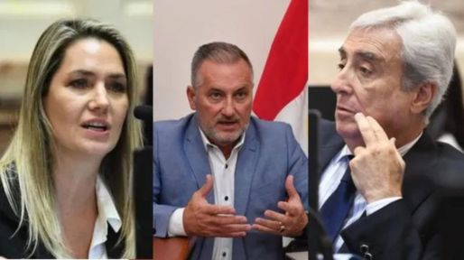 El Senado debate la venta sin límites de tierras a extranjeros: cómo votarán los tres legisladores santafesinos