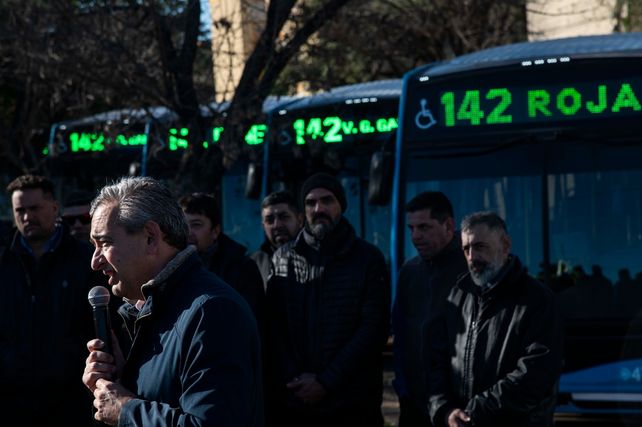 Rosario baja la antigüedad promedio de su flota de colectivos en casi tres años