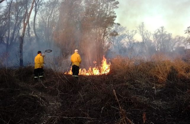 Los brigadistas trabajando a destajo tratando de sofocar el fuego en zona de islas.&nbsp;