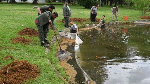 Están realizando la limpieza de los lagos del Parque Juan de Garay