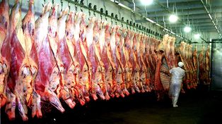 Fin de la media res: cambia a fin de mes el sistema para comercializar la carne