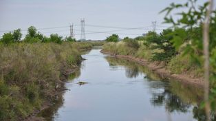 Un proyecto de ley propone la creación del área protegida “Reserva San Jorge” en Funes
