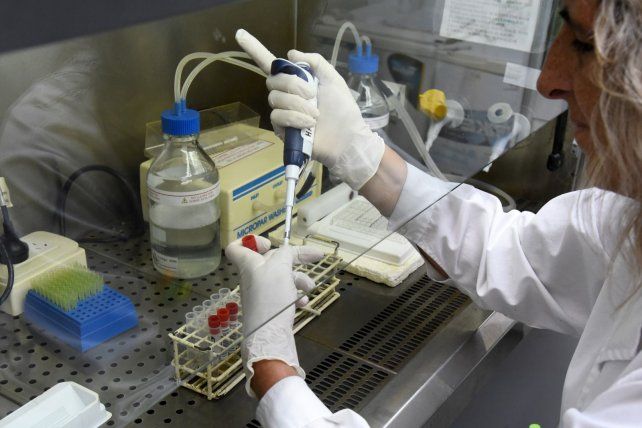 Detección de la Encefalitis Equina. Se trata de una valiosa novedad científica para la salud pública santafesina