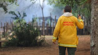 Este domingo llovió en algunas zonas de la provincia&nbsp;