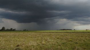 Vuelve El Niño y crecen las expectativas para la próxima campaña gruesa