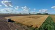 ¿Cómo varió la producción agrícola en los últimos 10 años?