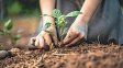 El frío comienza a afectar la producción hortícola de la zona y ya advierten escasez en góndolas