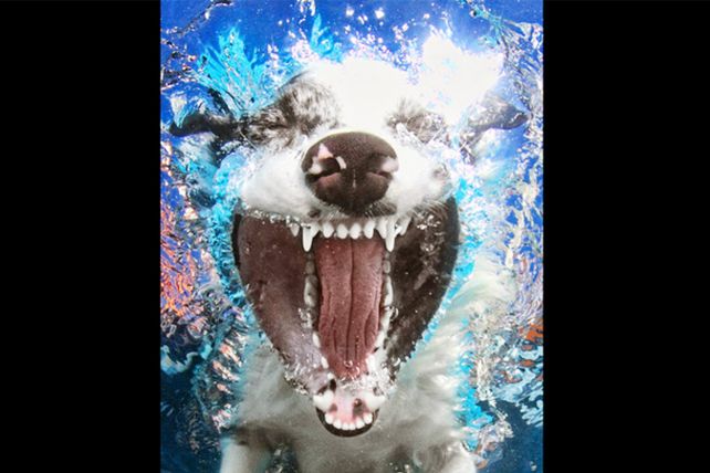 Diversión bajo el agua