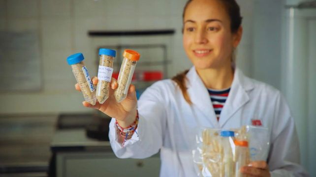 Generan antioxidantes a partir del descarte de la producción piscícola