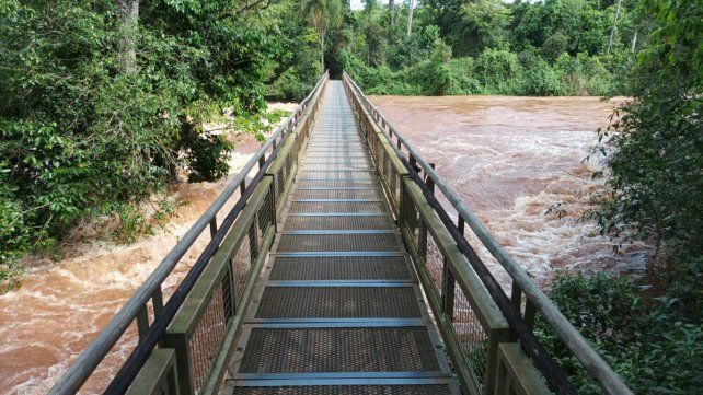 Por la creciente del río Iguazú