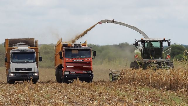 La provincia de Entre Ríos puso en vigencia el nuevo régimen ambiental&nbsp; a través de la reglamentación de la Ley Nº 11.250