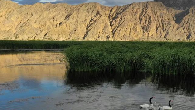 &nbsp;El objetivo de la Ley de Humedales es regular sus usos y penalizar actividades que dañen el recurso. El 21% del territorio argentino está formado por humedales