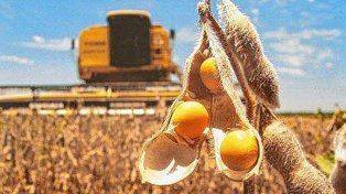 Fuerte crecimiento de las exportaciones desde Santa Fe: la soja y la carne empujan la economía provincial