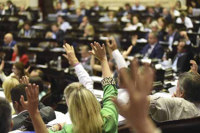 Posturas disímiles de los diputados entrerrianos por la ley de Emergencia