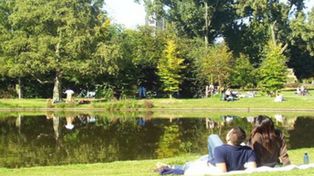Permiten el sexo libre en un parque de Amsterdam