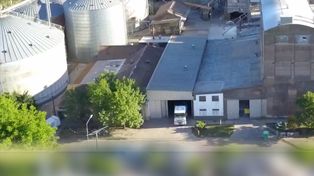 El sector molinero se resiente a causa del precio del trigo.