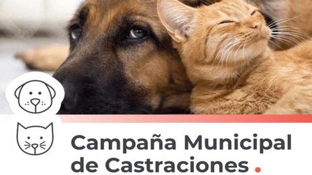 Campaña de castraciones Santo Tomé