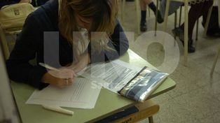 La prueba de la frutilla: el debate sobre la inclusión y los saberes