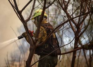 Ambiente reporta ocho focos de incendio activos en Corrientes y otros seis en Misiones