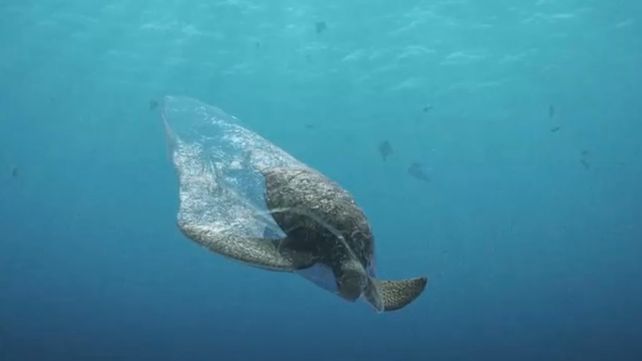 Los desechos arrojados al mar