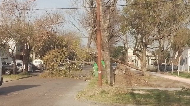 Video: Fuertes vientos, lluvias y granizo en ciudades entrerrianas