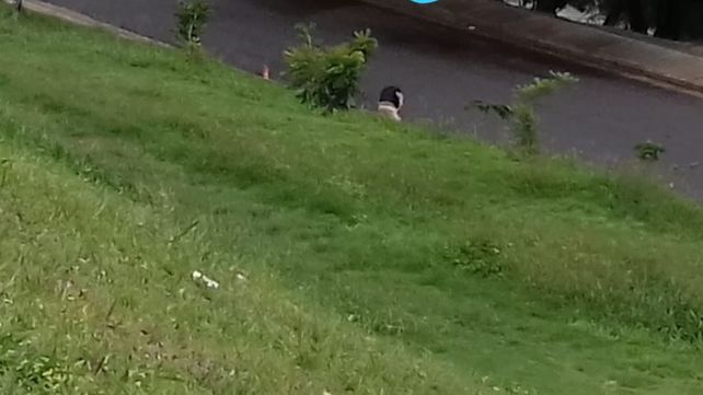 Un maletín sospechoso generó alarma en el parque Urquiza de Paraná