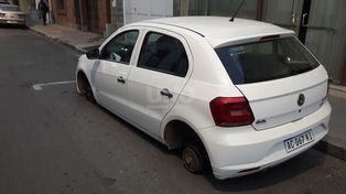 La sorpresa que se llevó una vecina al salir de su casa