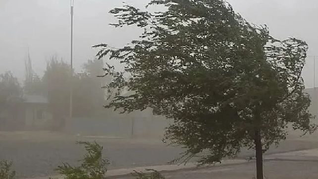 El SMN emitió una alerta amarilla por vientos fuertes para el viernes El SMN emitió una alerta amarilla por vientos fuertes para el viernes
