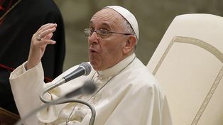 El Papa dijo que le duele el alma al ver deforestaciones para plantar soja