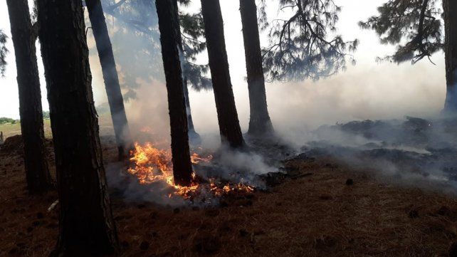 Bomberos Voluntarios de Ceibas acudieron el sábado y el domingo a apagar incendios en la estancia La Pellegrina. El lugar reportó al menos 15 en la temporada&nbsp;