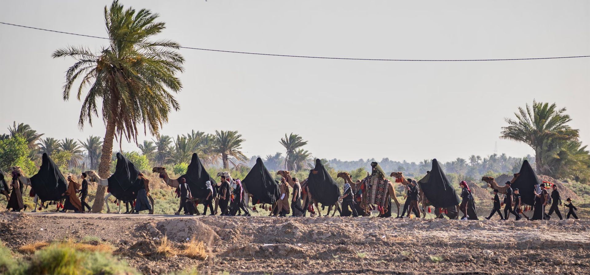 Peregrinos chiítas se dirigen a la ciudad de Karbala para observar el Arbaín, que marca el final de un período de luto de 40 días tras el Día de Ashura, Nayaf, Irak. Fotografía: Anmar Khalil/AP