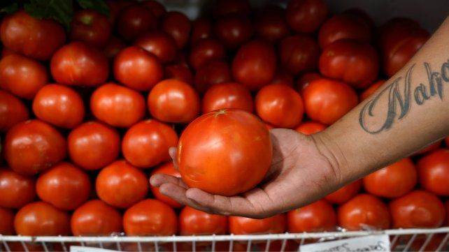 El precio del tomate se disparó en los últimos días y el kilo llegó a 7 mil pesos. 