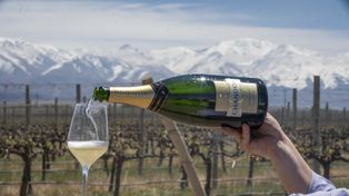 Hasta la llegada de Chandon a la Argentina, solo unas pocas bodegas se dedicaban en Mendoza al espumante.