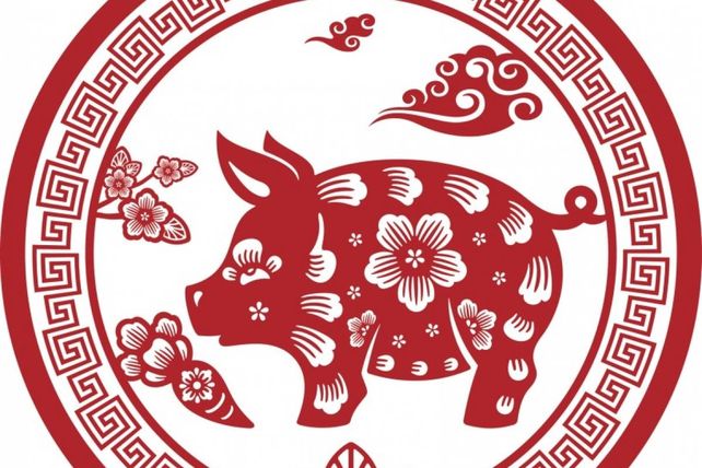 2019. El año del chancho.&nbsp;